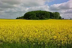 Rundholz bei Frauenmark