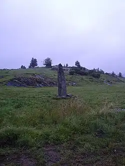 Runenstein von Nedre Hoga auf Orust.