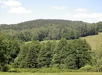 Die Výšina von Westen, vom Ufer der Radbuza aus gesehen