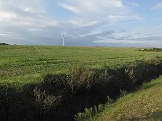 Südhang der Karower Platte bei Viesen
