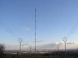 Südmast mit Reusenleitungen