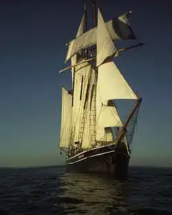 Frontansicht der Albatros 2004