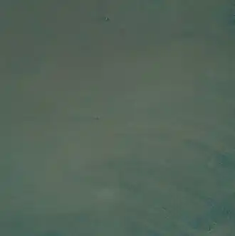 Satellitenaufnahme des Tchigaï-Plateaus (1981)