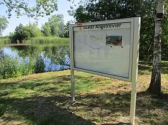 Saaler Angelrevier, 2024