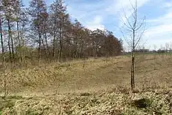 Feuchtgebiet bei Brüxgen