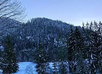 Sagrinnenköpfl von Nordosten