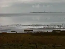 Blick über das Watt nach Neuwerk