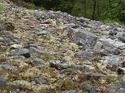 Überreste des Lagers von Castel-Finans