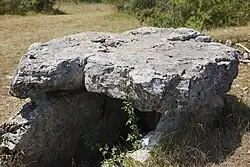Dolmen von La Palein
