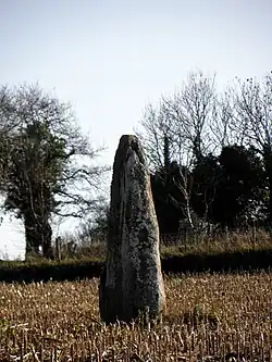 Menhir La Roche Longue von Saint-Marcan