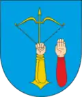 Wappen von Salnyzja