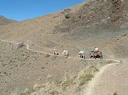 Abschnitt Abra de Chaupiyaco–Las Capillas