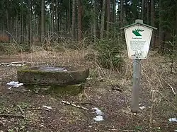 Salzlecke bei Kurort Hartha