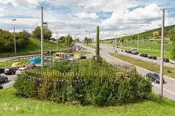 Neuer Bewuchs (Sept. 2019)