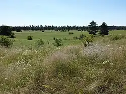 Blick vom Sandberg nach Süden.