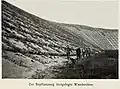 Pflanzung zur Stabilisierung der Dünen 1910
