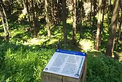 Sandstein aus dem Süntel