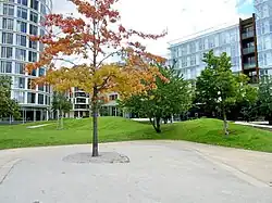 Junge Bäume in hügeliger Landschaft