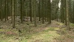 Blick auf die Gesamtanlage mit dem nordwestlichen Tordurchlass