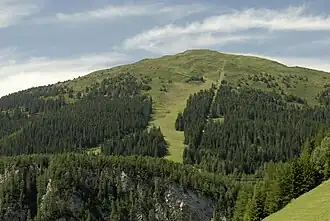 Der Sattelberg von Nordosten; darunter die Trasse des ehemaligen Gipfellifts (rechts) und der Skipiste (links)