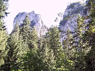 Von der Alm Hala Pisana