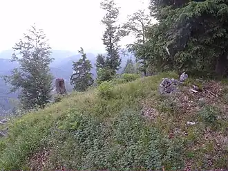 Gipfel des Saurüsselkopfes