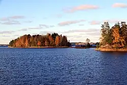 Archipel der Ringelrobben am Saimaa See