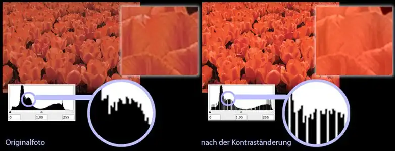 Das Farbspektrum des Fotos links umfasst ca. 200 Stufen (damit wird die Farbtiefe von 256 Stufen nicht komplett ausgenutzt). Im rechten Foto wurde eine einfache Kontrasterhöhung durchgeführt, die das Farbspektrum des Fotos auf 256 Stufen angehoben hat (= Tonwertspreizung). Die vorher-200 Stufen können nicht identisch auf nachher-256 Stufen übertragen werden. Die konkreten Farbwerte werden durch das Interpolationsverfahren bestimmt. Symbolisiert werden die (durch diese Veränderung) entstehenden Lücken im Farbspektrum durch eine lückenhafte Anzeige im Histogramm (Diagramm unter dem Foto).
