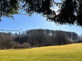 Schönberg von Westen