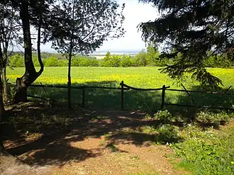 Blick vom höchsten Punkt der Kernsdorfer Höhe