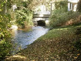 Panke verlässt den Park