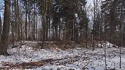 Halde des Schachts Auguste-Martha