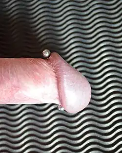 Schaft-Apadravya mit Barbell (links) und mit 6 gauge Tunnel (rechts)