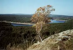 Blick vom Scharfenstein