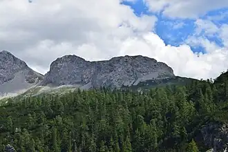 Blick aus dem „Schafwald“ auf die Nordseite der Schaufelwand.