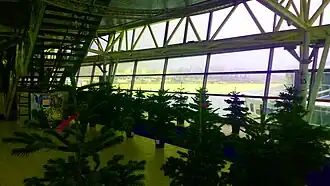 Wiedereinpflanzbare Weihnachts-Mietbäume schweben über der Nordsee auf dem Pier in Scheveningen