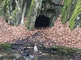 Schinderhanneshöhle bei Seesbach