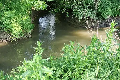 Mündung in die Ahse