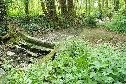 Trockengefallen im Sommer