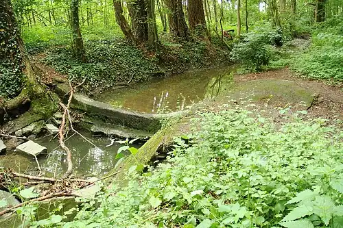 Ein Tag nach Gewitter