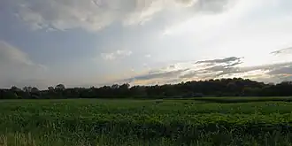 Schlehenberg in der Abendsonne von Osten aus gesehen