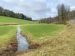 Der Schlenker Bach (von links kommend) mündet in die Lüttgenau