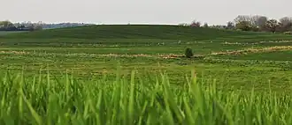 Der Schloßberg bei Pantelitz, Blick aus südöstlicher Richtung (2017)