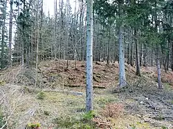 Ansicht des Burgstalles von Norden