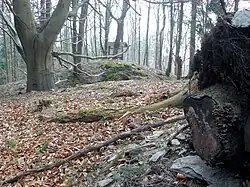 Blick vom inneren Bereich zur Informationstafel