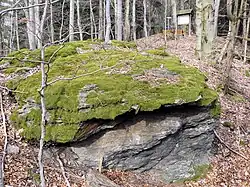 Blick von Süden zur Informationstafel