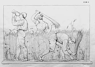 14. Fruchtschneiden (S&nbsp;XII).