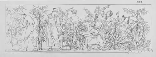 21. Traubenschneiden (H&nbsp;VII).[12]