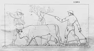 29. Sämann und eggender Bauer mit 2 Ochsen (H&nbsp;XXIV).[19]