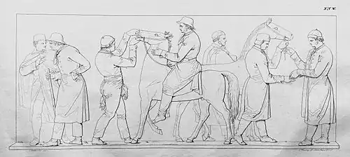 32. Pferdemarkt II, Prüfung und Verkauf eines Pferdes (W&nbsp;V).